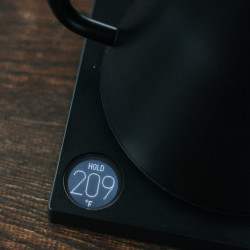 Fellow Stagg EKG Smoke green + Maple | غلاية كهربائية Gooseneck